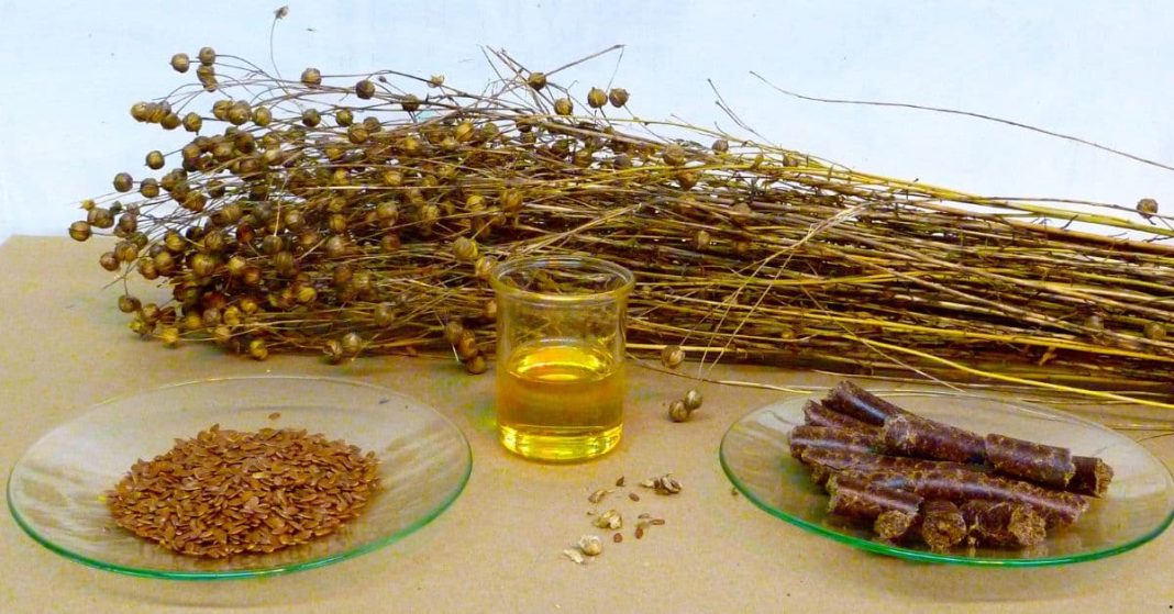 Flaxseed in Folk Medicine Flaxseed in Folk Medicine