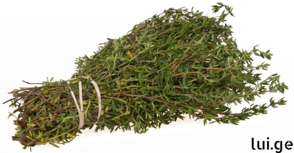 Tabrusxvevis mkurnaloba