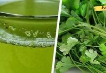 Do you suffer from kidney and pancreas pain? Do you constantly feel bitterness in your mouth? This natural remedy restores your health.