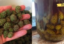 The remedy that made me forget I ever had a stomach ulcer! After this, I recommend it to everyone.