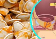 Treat prostate issues, gastritis, and diabetes with pumpkin.