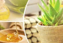 Prepare an anti-inflammatory balm with aloe vera juice and honey.