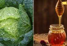 Cabbage Leaves and Honey Work Wonders: A Compress Against Cough and Bronchitis